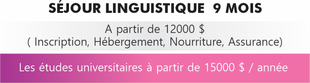 Société internationale de services et études supérieures